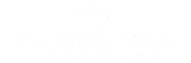 Dra. Camila Vilela - Ginecologista e Obstetra
